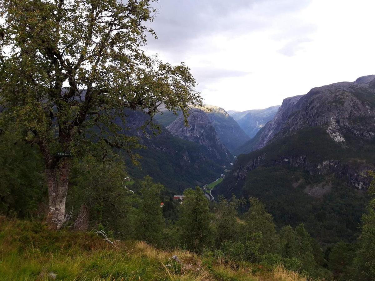 Stalheim Fjord Og Fjellhytter Esterno foto