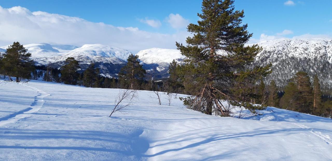 Stalheim Fjord Og Fjellhytter Esterno foto