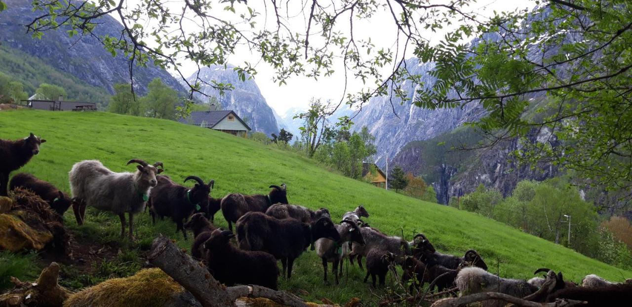 Stalheim Fjord Og Fjellhytter Esterno foto