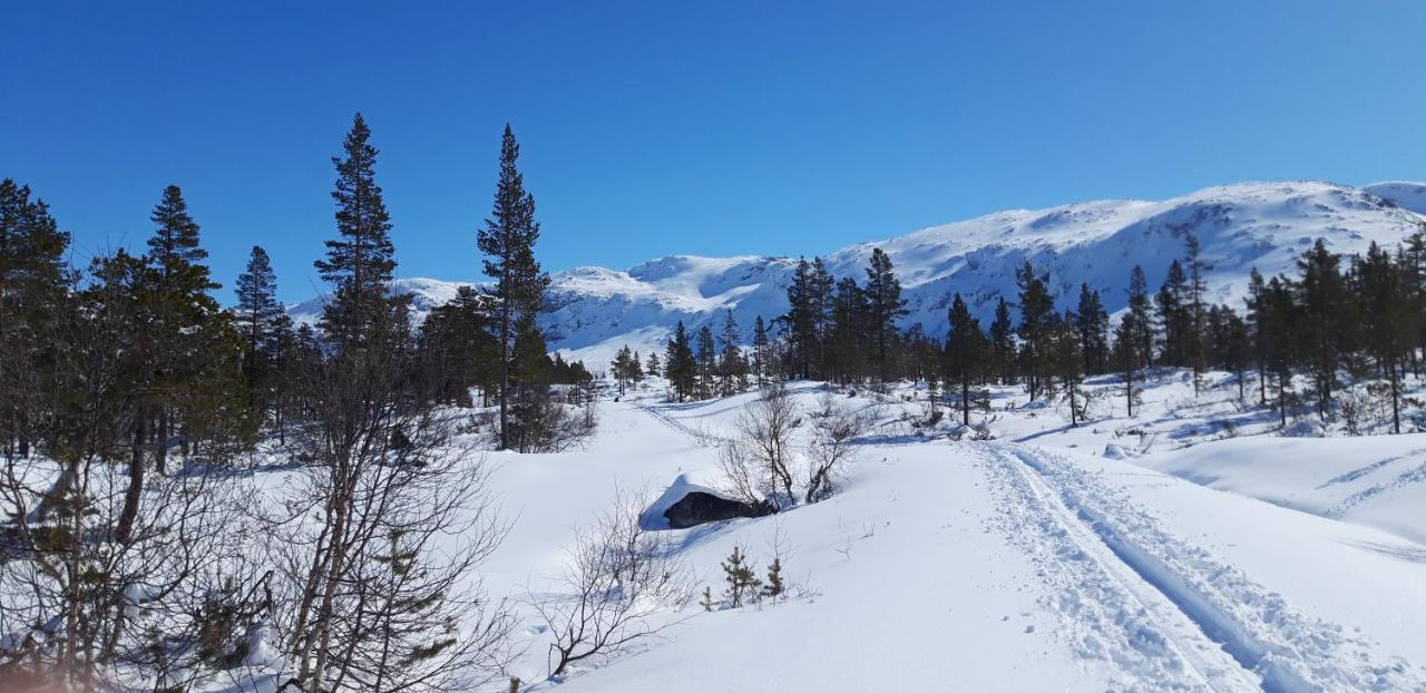 Stalheim Fjord Og Fjellhytter Esterno foto